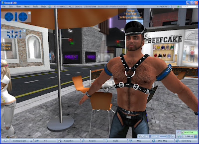 virtual gay role Virtual gay role
